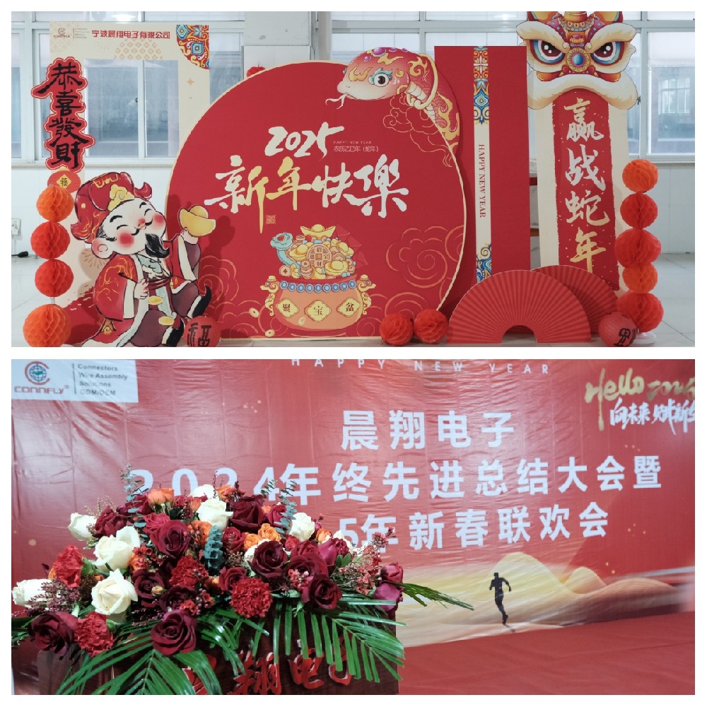 晨翔電子2024年終先進總結(jié)大會暨2025年新春聯(lián)歡會圓滿落幕！